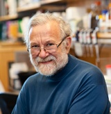 author_photo