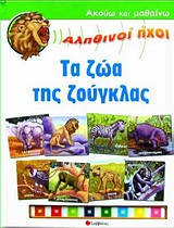 book_cover