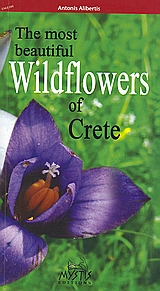 book_cover