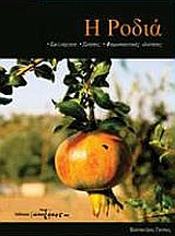 book_cover