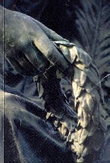 book_cover