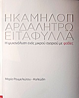 book_cover