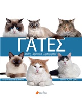 book_cover