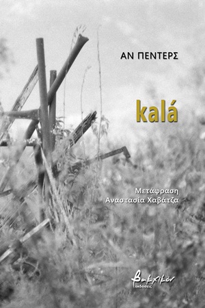 book_cover