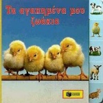 book_cover